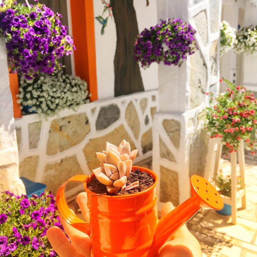 Bodrum Sade Pension ภายนอก รูปภาพ