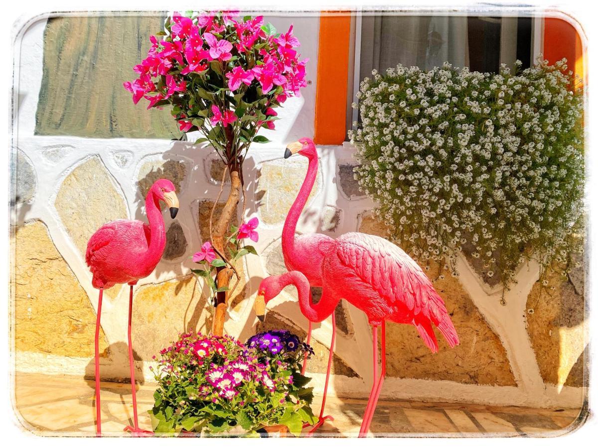Bodrum Sade Pension ภายนอก รูปภาพ